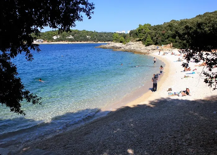 With Wifi - 21410 Apartamento Pula